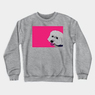 Finn the Bichon Frise Hot Pink Crewneck Sweatshirt